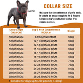 Cuban Chain Dogs Collar-3