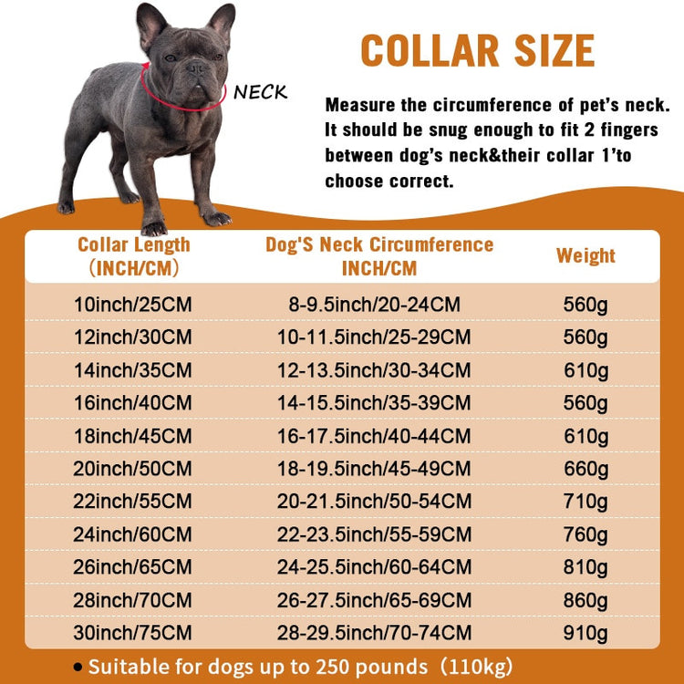 Cuban Chain Dogs Collar-3